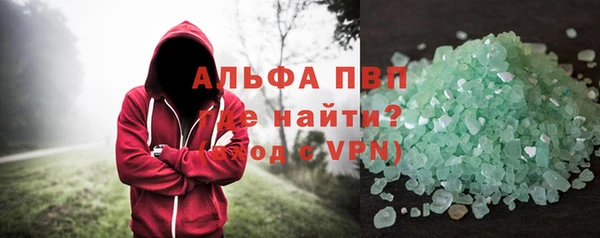 прущие грибы Краснослободск