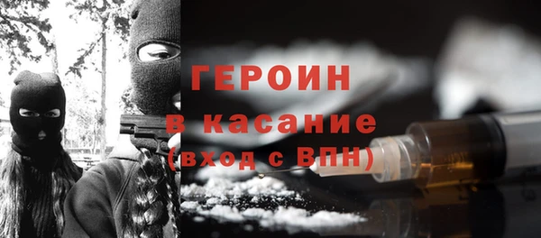 прущие грибы Краснослободск