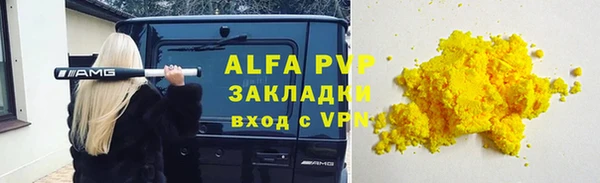 прущие грибы Краснослободск