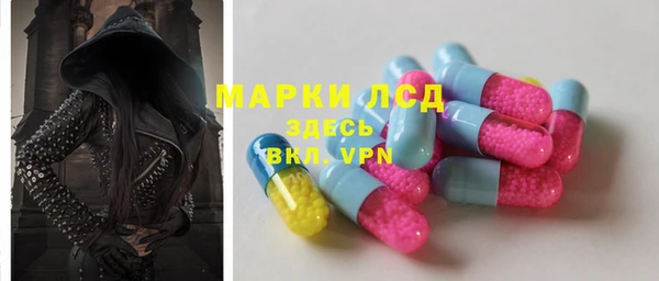 прущие грибы Краснослободск