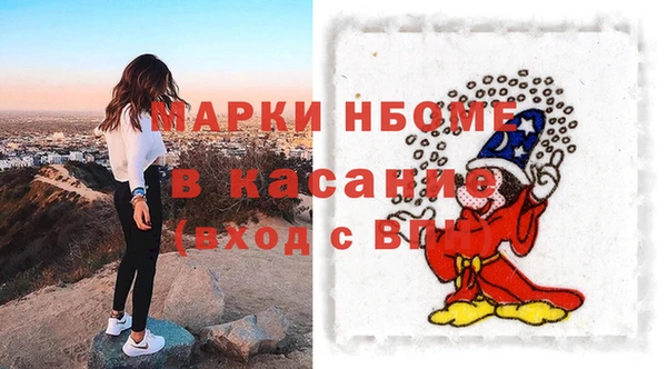 прущие грибы Краснослободск