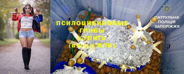 прущие грибы Краснослободск