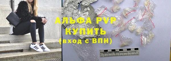 прущие грибы Краснослободск