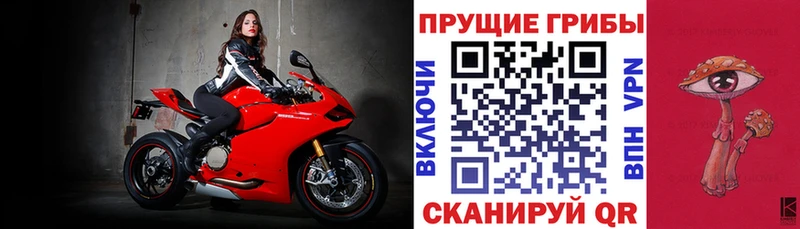 Купить закладки Сосновоборск Псилоцибиновые грибы Magic Shrooms